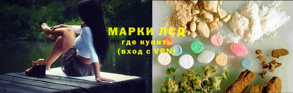 сатива Арсеньев