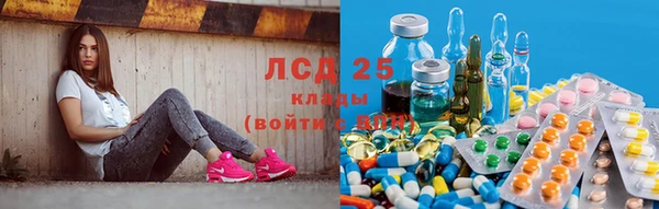 крисы Аркадак
