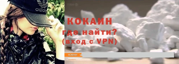 сатива Арсеньев