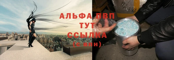 крисы Аркадак