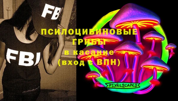 крисы Аркадак