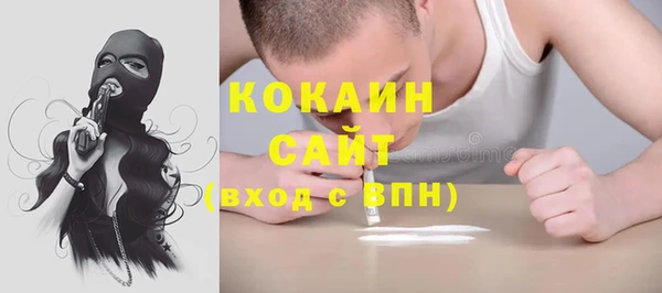 крисы Аркадак