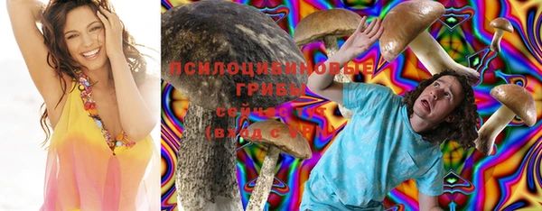 прущий лед Алексеевка