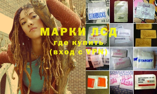 сатива Арсеньев