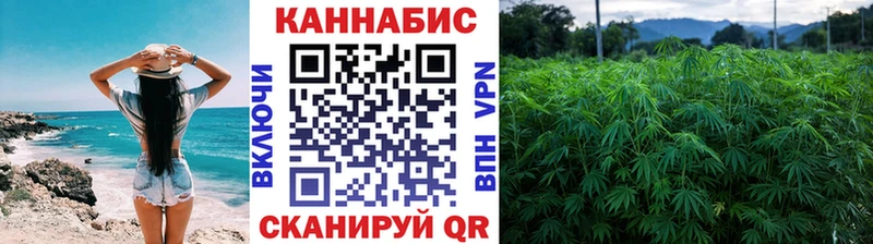Каннабис Amnesia  Луза 